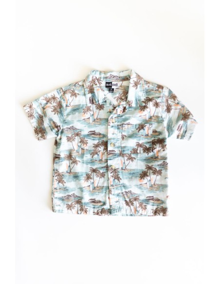 camisa hawaina