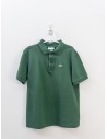 polo verde