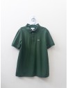 polo verde