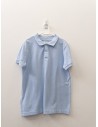polo celeste